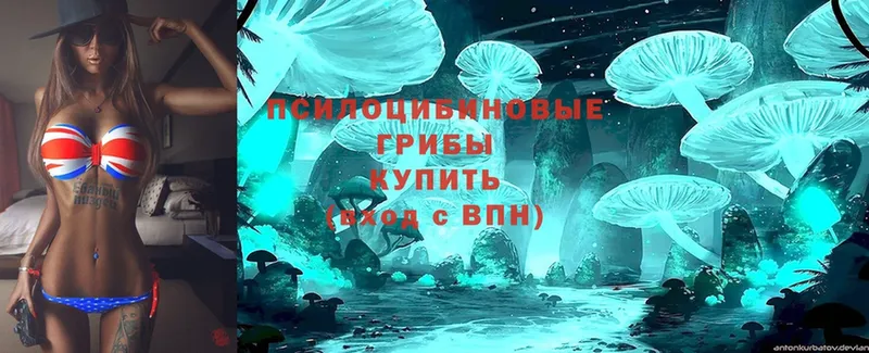 Псилоцибиновые грибы Cubensis  Спасск-Рязанский 